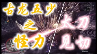 Mhw 见切 看破斩 学习 哔哩哔哩 Bilibili