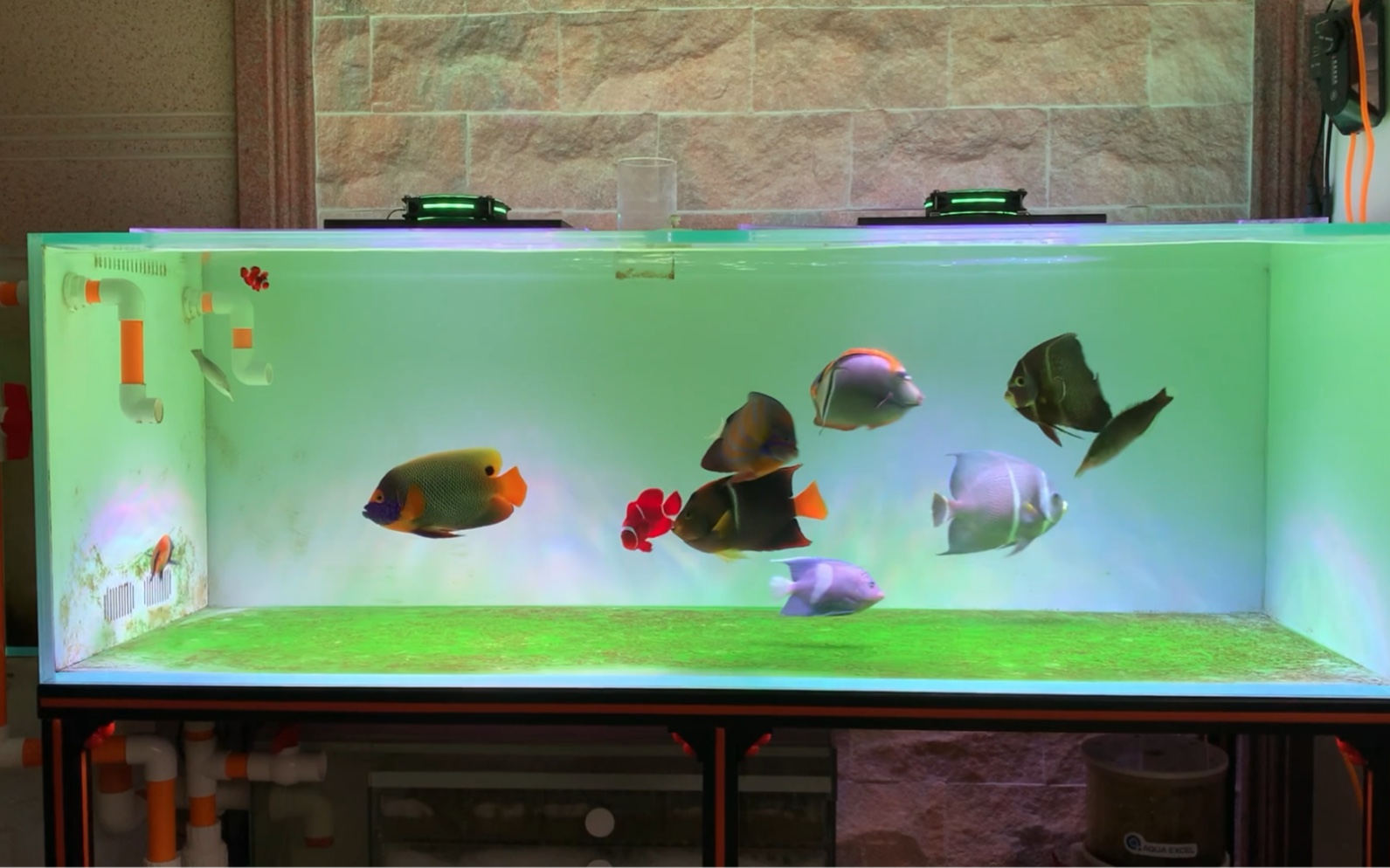 fot缸的远景以及近景分享_哔哩哔哩_bilibili