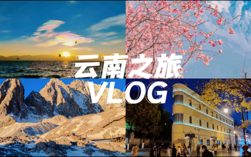 云南旅行VLOG/一个人的云南之旅,致敬我勇敢而又热烈的23岁/大理ⷮŠ丽江ⷦ˜†明/ 迟到的毕业旅行哔哩哔哩bilibili