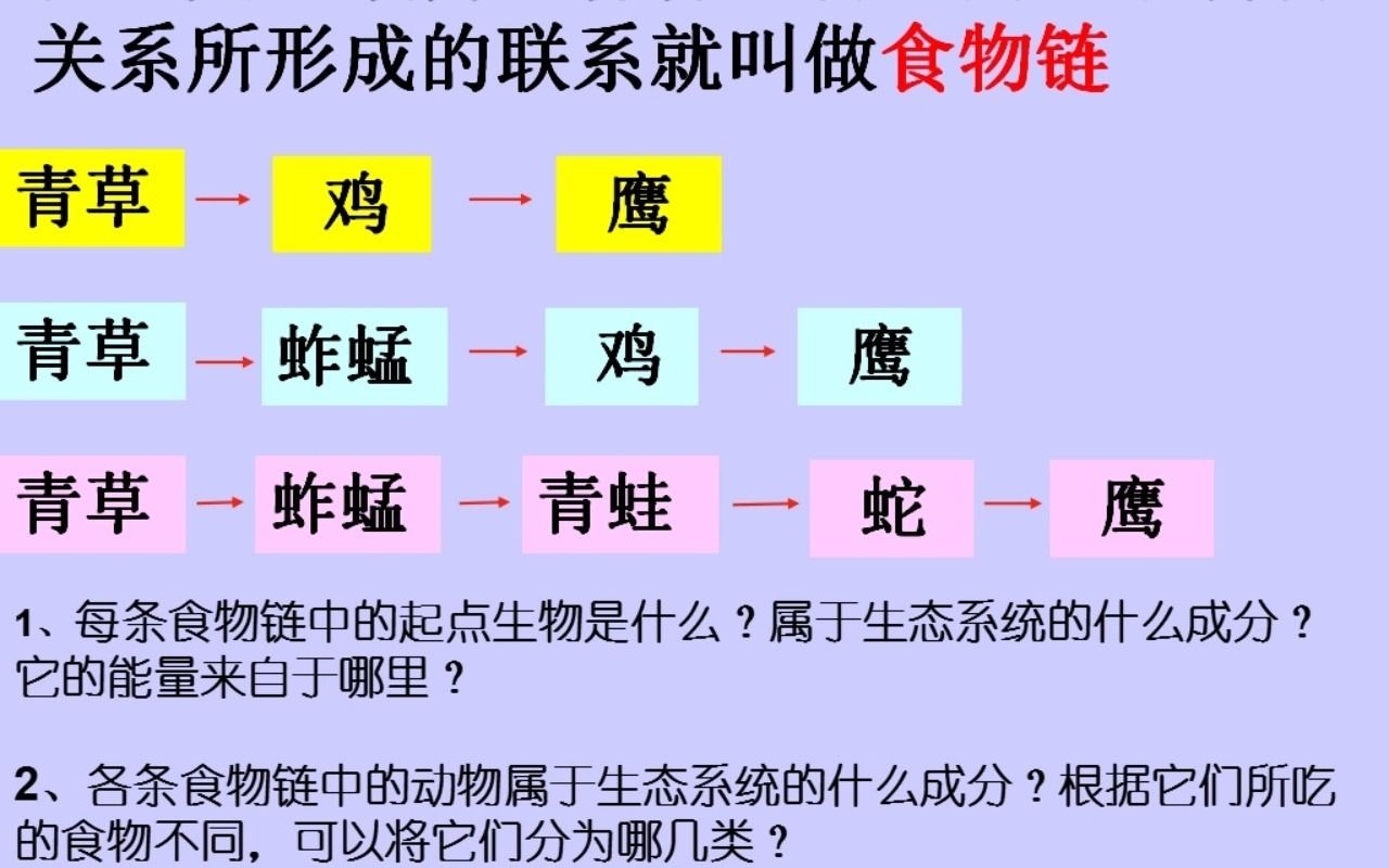 苏科版七年级上册第6章第1节食物链江苏省名师空中课堂哔哩哔哩bilibili