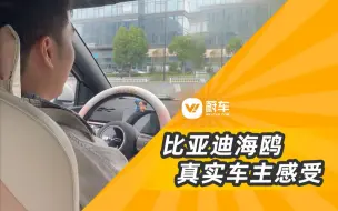 Download Video: 比亚迪海鸥这车怎么样？ 来听听真实车主的反馈