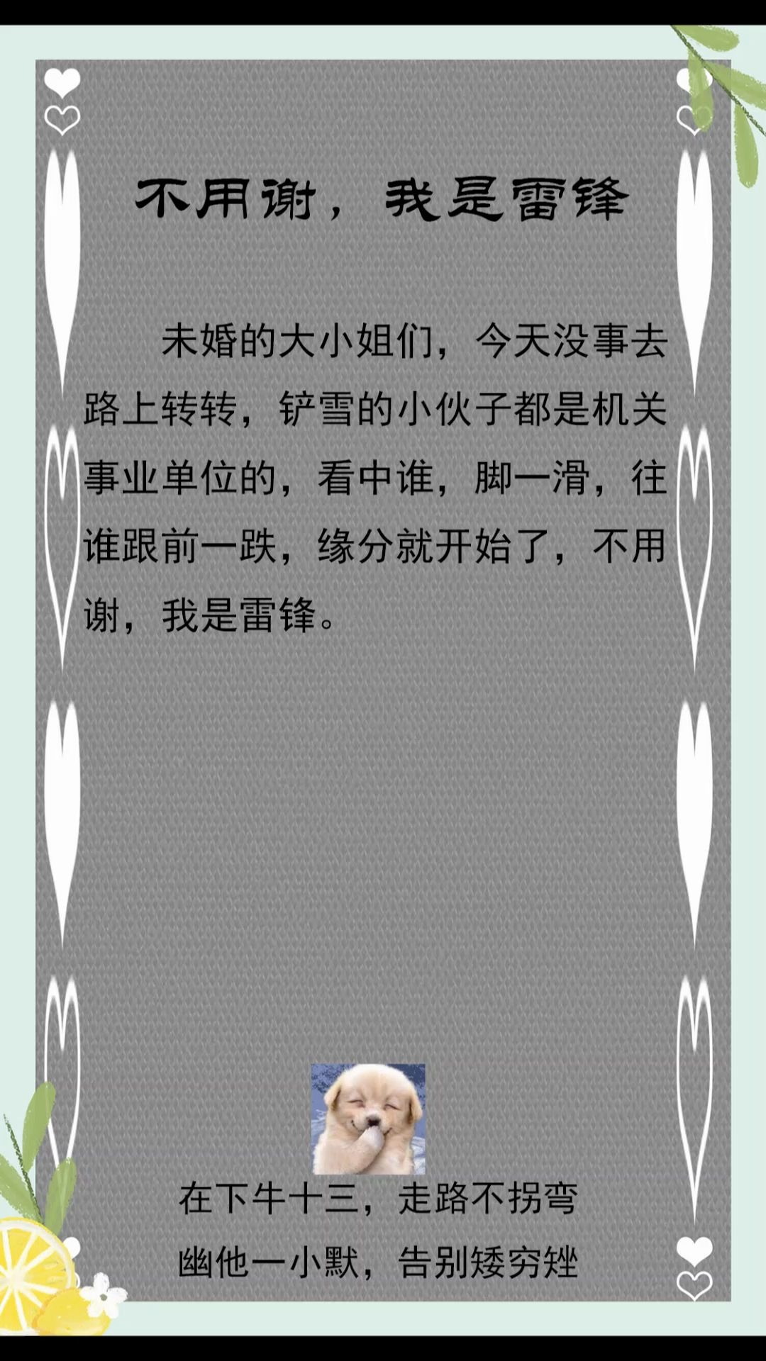 不谢,我是雷锋哔哩哔哩bilibili