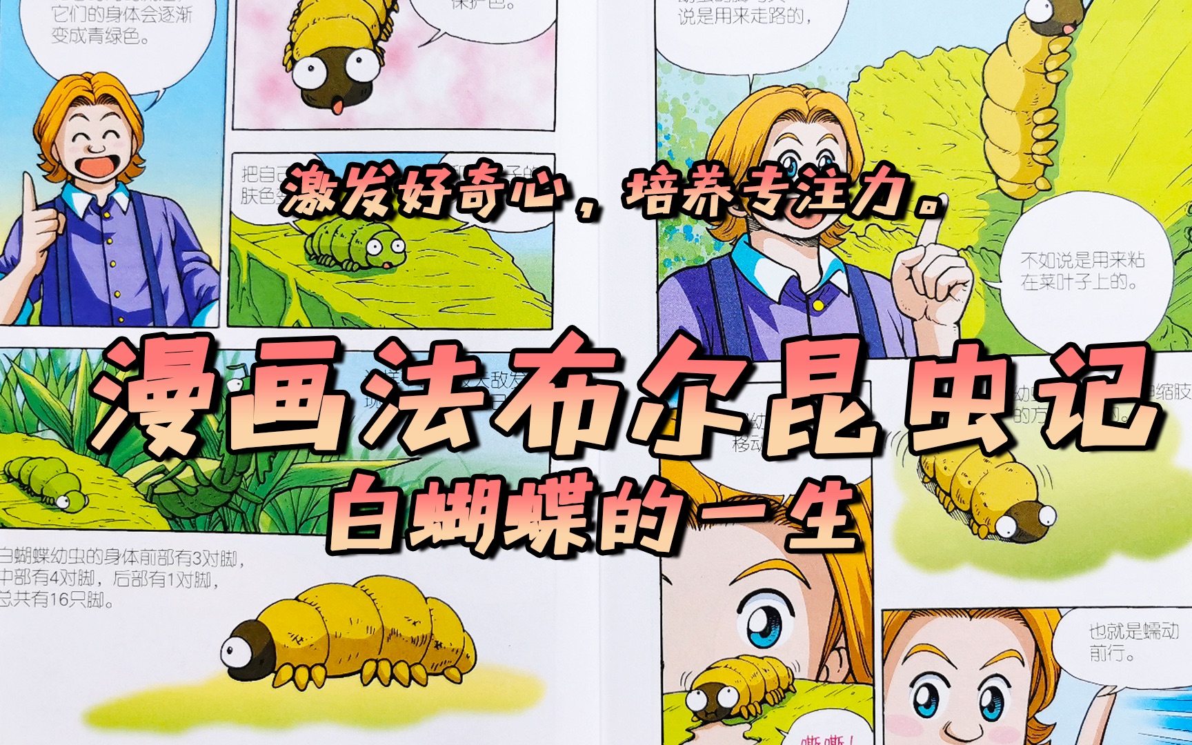 《漫画法布尔昆虫记 白蝴蝶的一生》下 分享阅读,改变世界