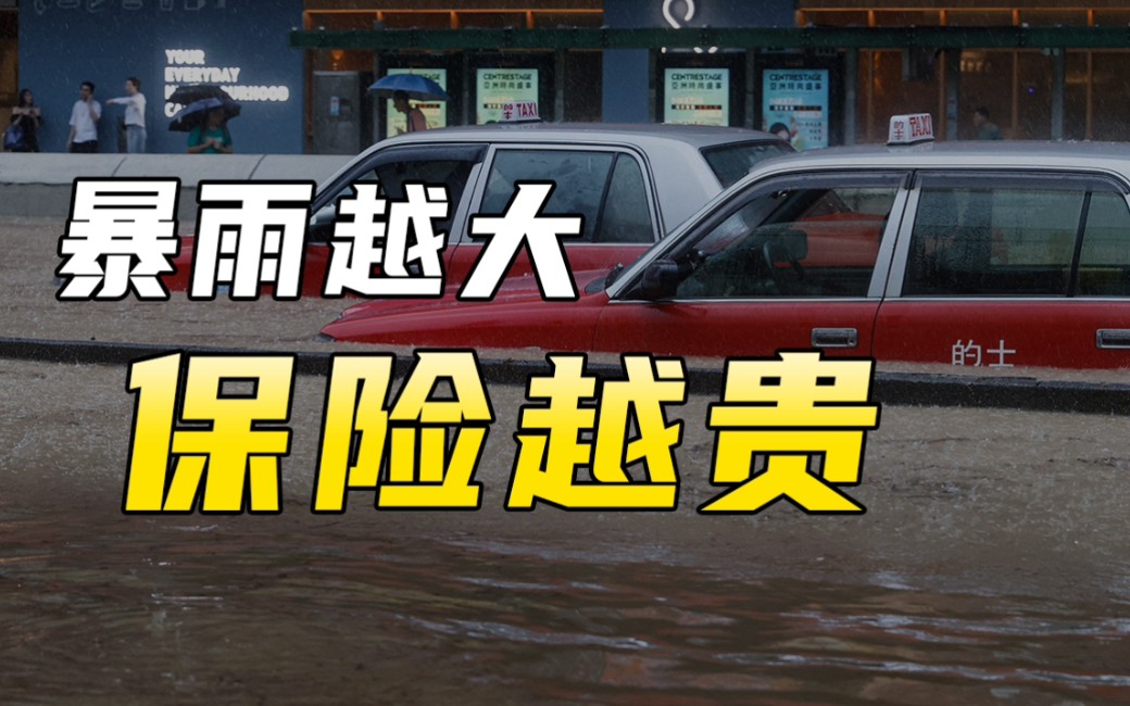 台风暴雨多,保险公司如何赔穿【浪浪】哔哩哔哩bilibili