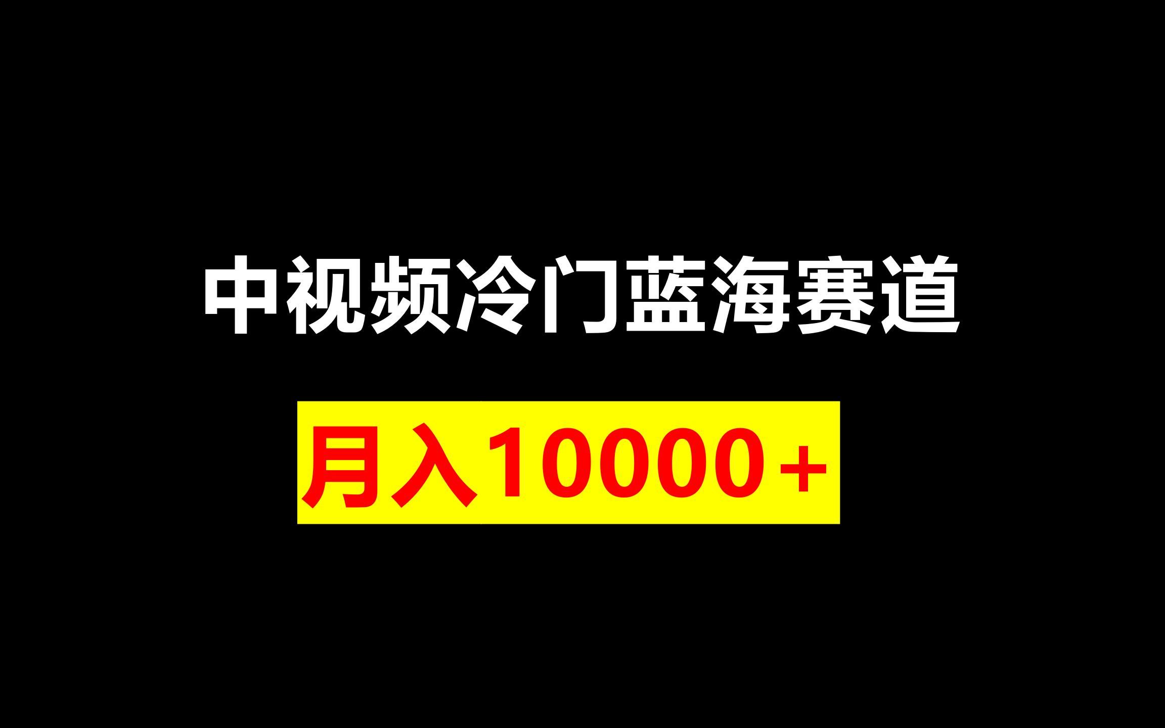 [图]中视频冷门蓝海赛道，无脑搬砖，月入10000+