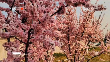 [图]美好生活就在我们身边