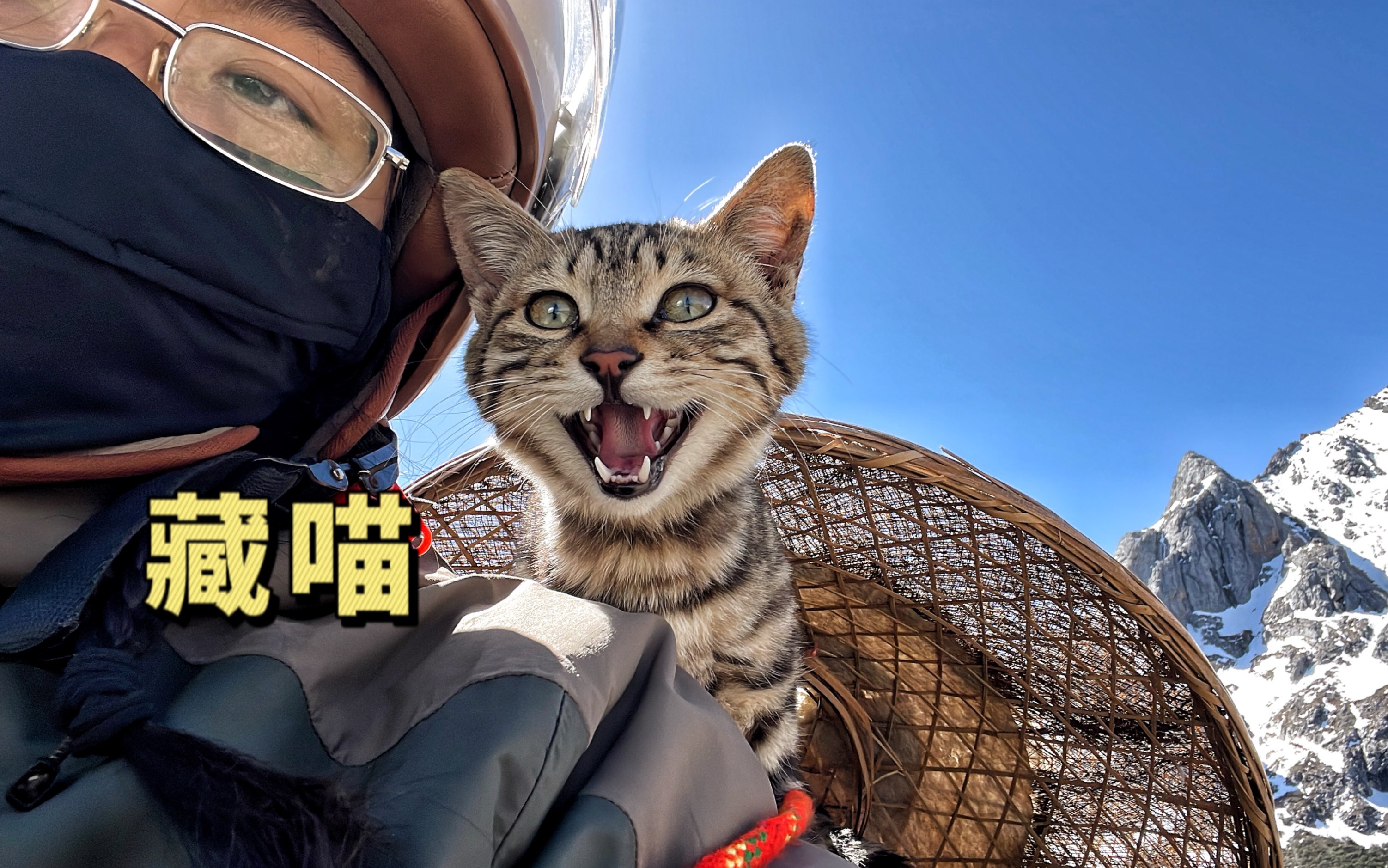 [图]猫与摩托车的冒险之旅｜洛克之路