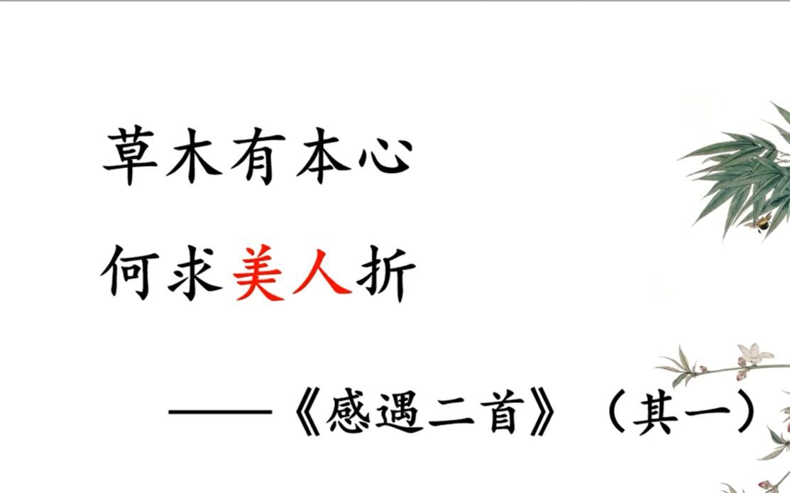 《唐诗三百首赏析》之《感遇二首》(其一)哔哩哔哩bilibili