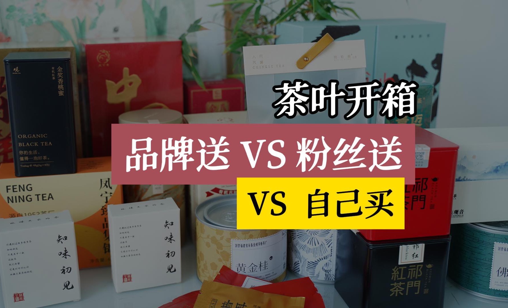 7月茶叶开箱|口碑老字号茶厂VS网红品牌 哪些值得买?哔哩哔哩bilibili