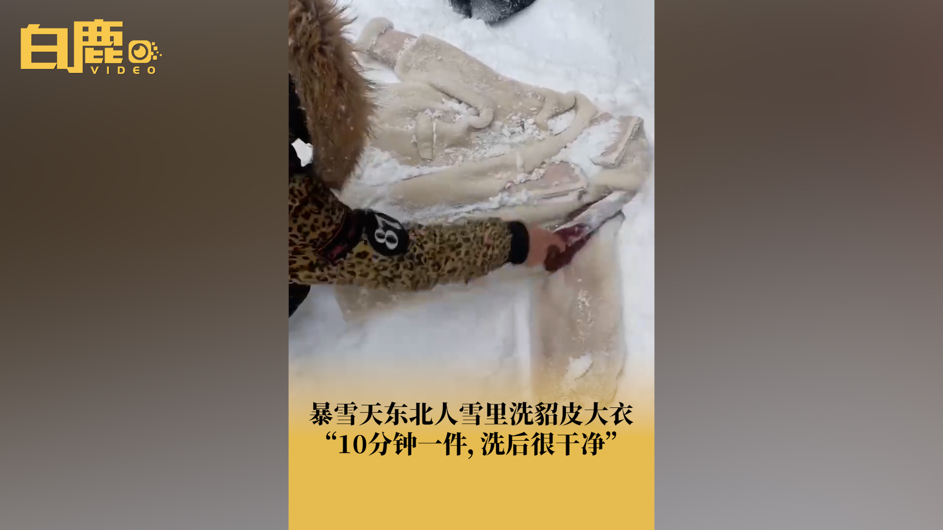 [图]东北人等暴雪天用雪刷洗貂皮大衣