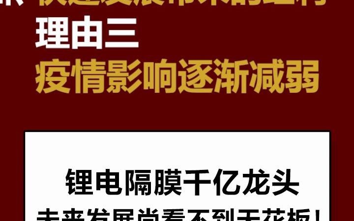 恩捷股份:锂电隔膜千亿龙头,未来发展尚看不到天花板!哔哩哔哩bilibili