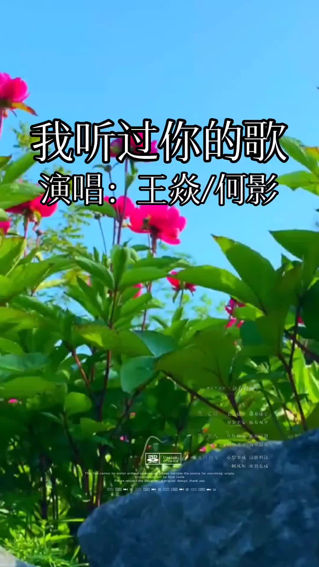 很温柔的一首歌我听过你的歌王焱何影经典老歌每日推荐音乐