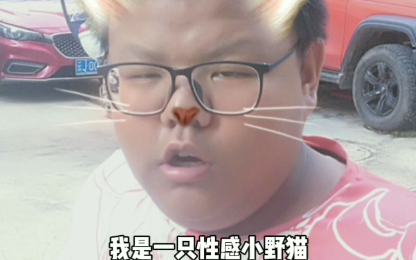 小野猫在线观看免费版高清完整版