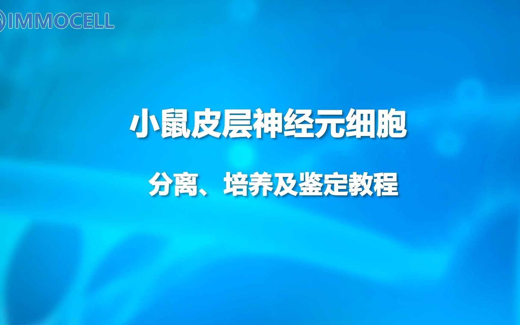 小鼠皮层神经元细胞分离、培养及鉴定教程哔哩哔哩bilibili