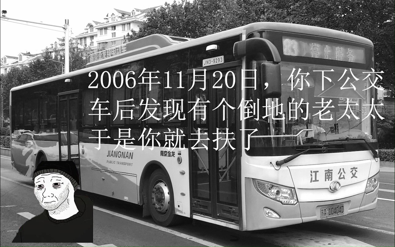 2006年11月20日,你下公交车后发现有个倒地的老太太,于是你就去扶了哔哩哔哩bilibili