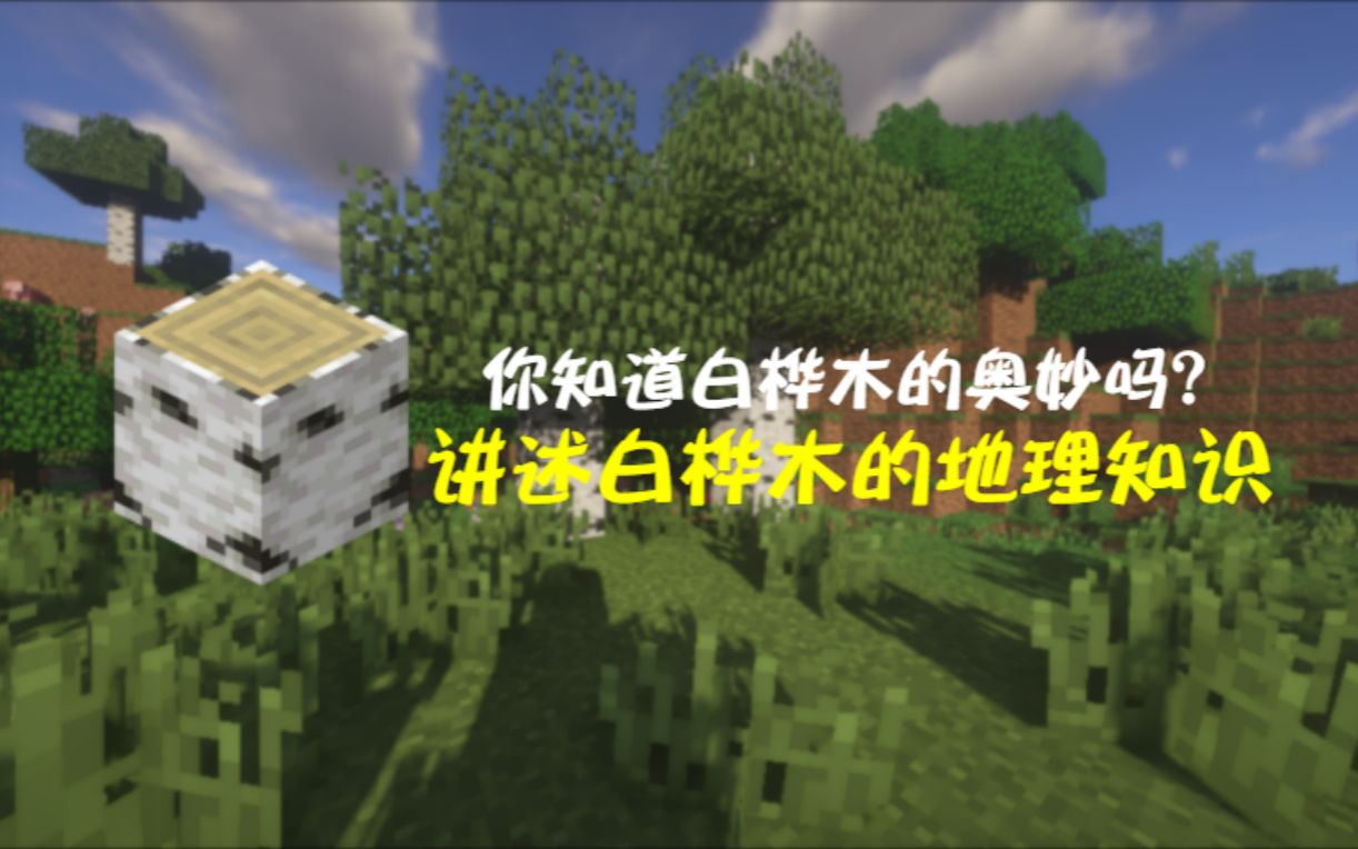全面介绍白桦树——以我的世界讲世界