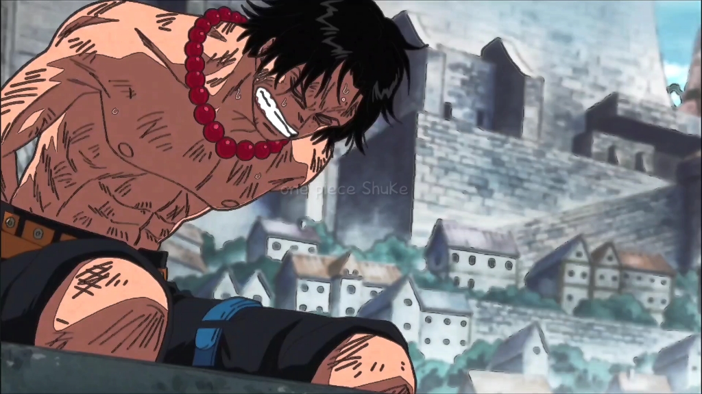 抱着赴s的决心去救艾斯的,奈何