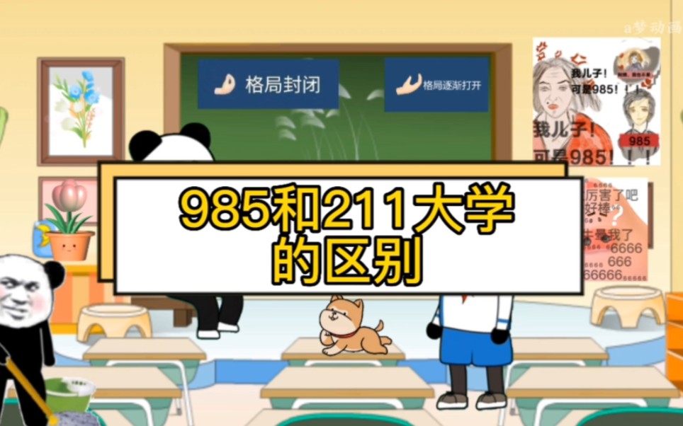 985和211大学的区别哔哩哔哩bilibili