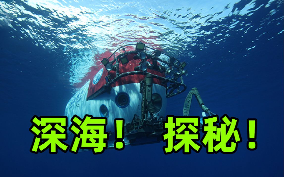 [图]【深入海底】和深潜器一起，探秘万米海底生物