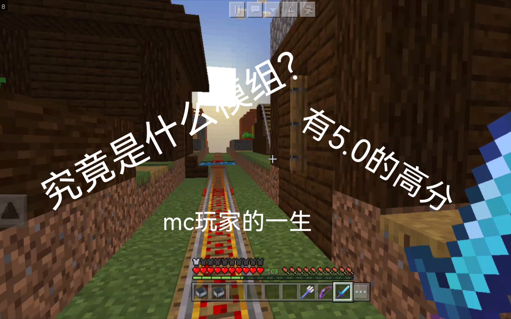短片,mc玩家的一生