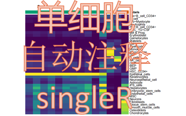 9. 保姆式教学细胞注释,自动注释,singleR,单细胞数据分析哔哩哔哩bilibili