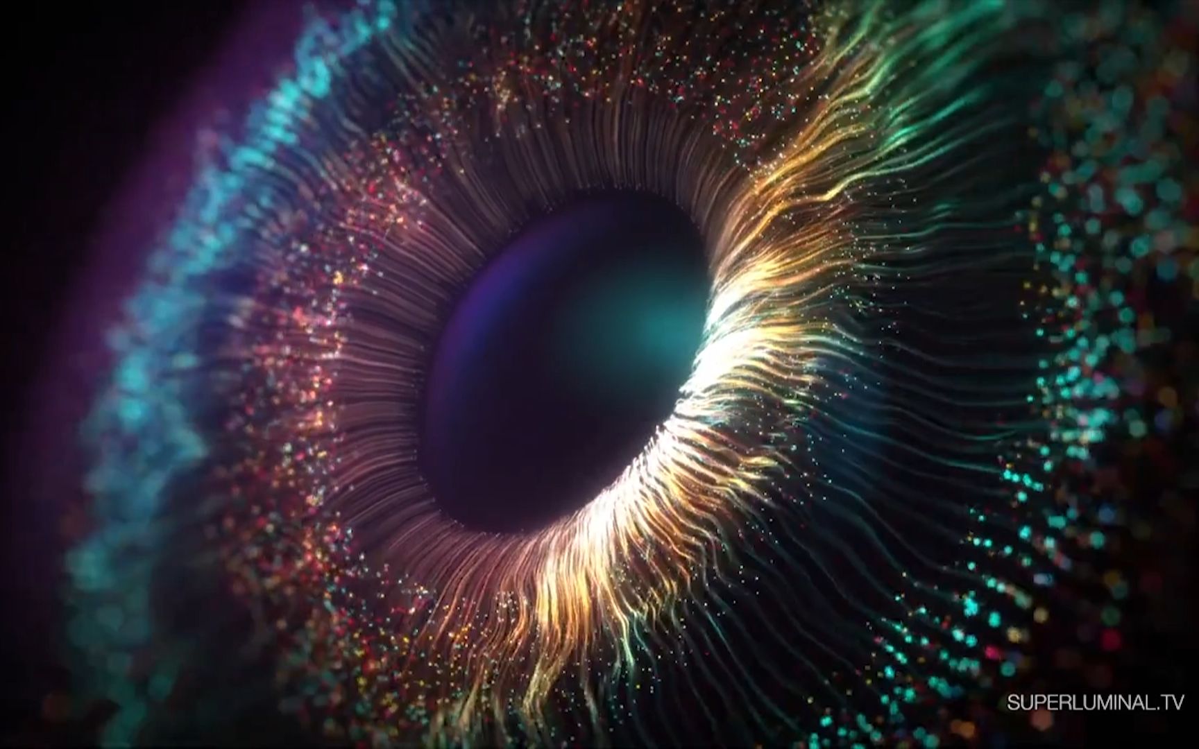 ae节点式三维粒子特效星尘粒子插件宣传stardust160中文汉化版