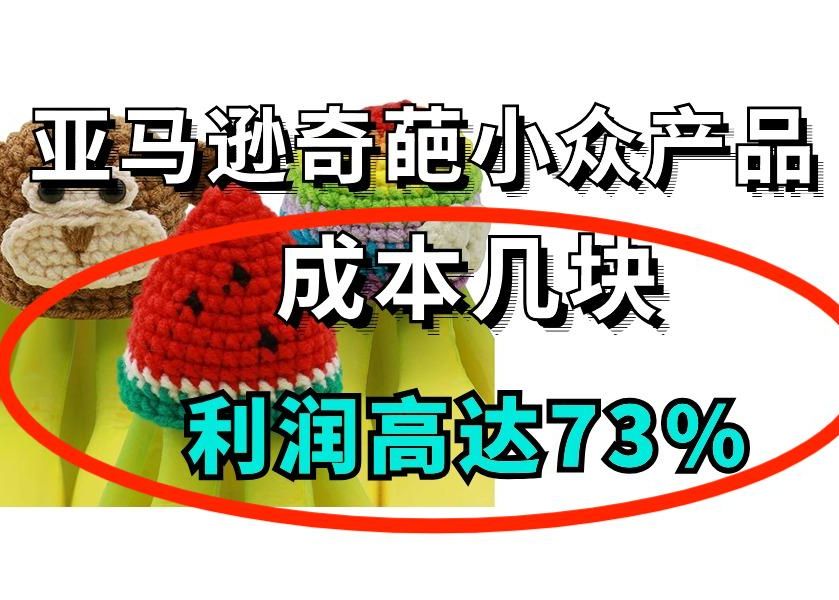 亚马逊奇葩小众产品:成本几块,利润高达73%哔哩哔哩bilibili