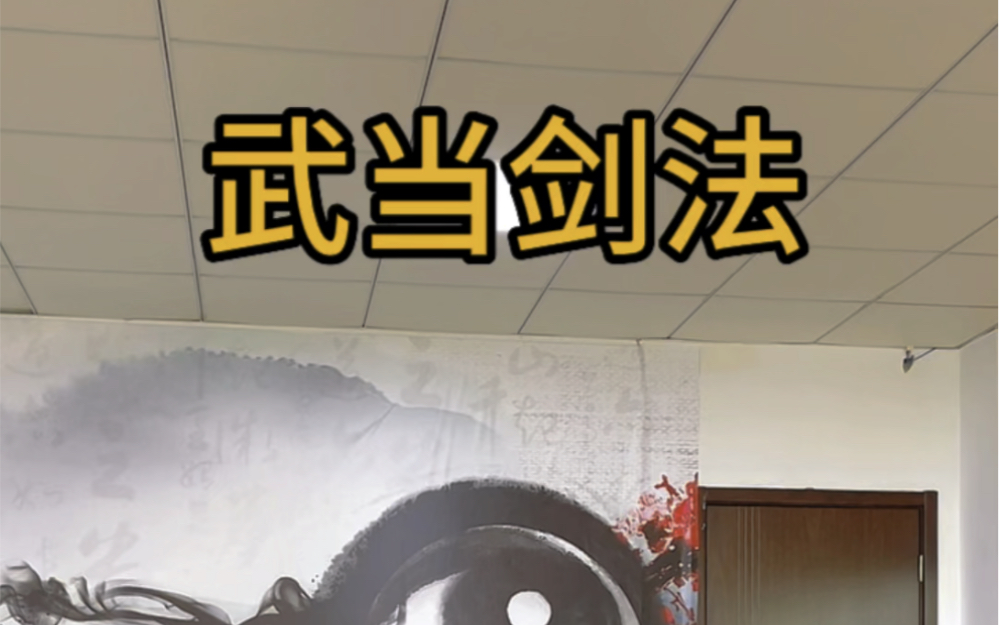 武当剑法剑术杭州剑法丹剑功夫武术传统武术