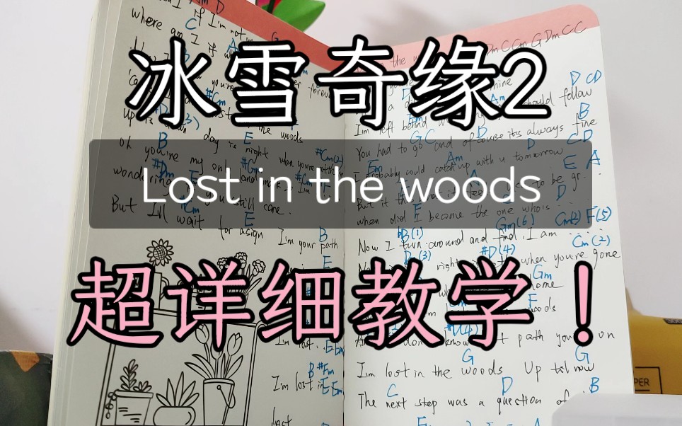 [图]【陈良喵】冰雪奇缘2克斯托夫悲伤情歌lost in the woods吉他弹唱教学