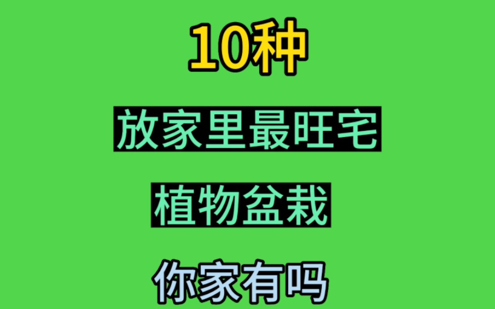 十种放家里最旺宅的绿植盆栽,你家有吗?哔哩哔哩bilibili