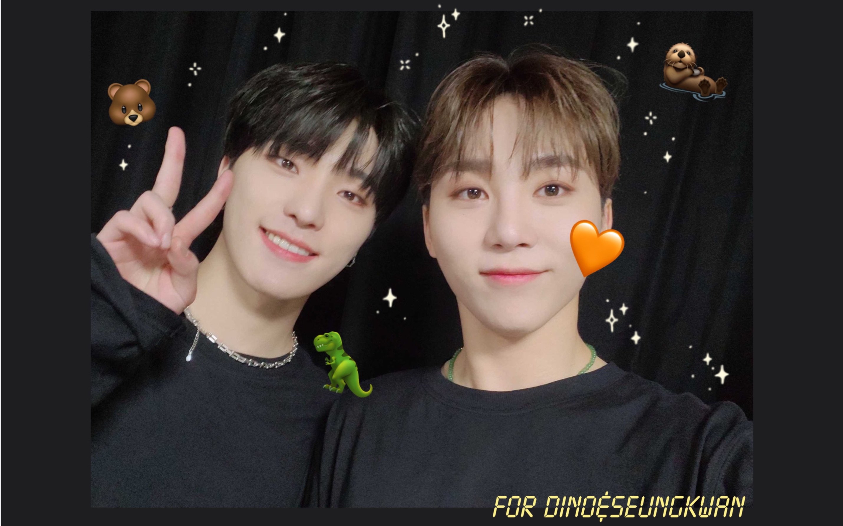 【seventeen】 dino和胜宽的关系报告