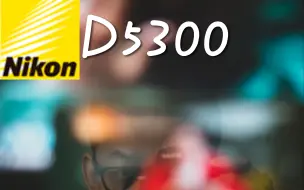 Download Video: 尼康D5300入手四个月我拍了些什么