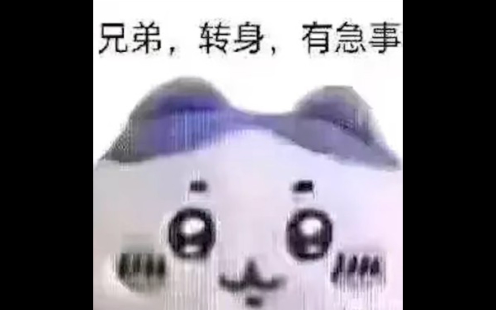 兄弟,兄弟……(小八表情包)