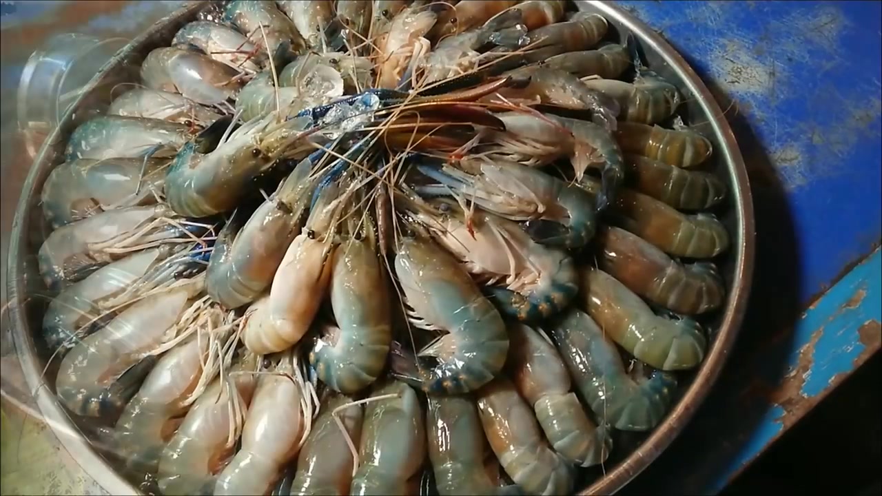 曼谷又一499铢任食生虾烧烤_哔哩哔哩 (゜-゜)つロ 干杯~-bilibili