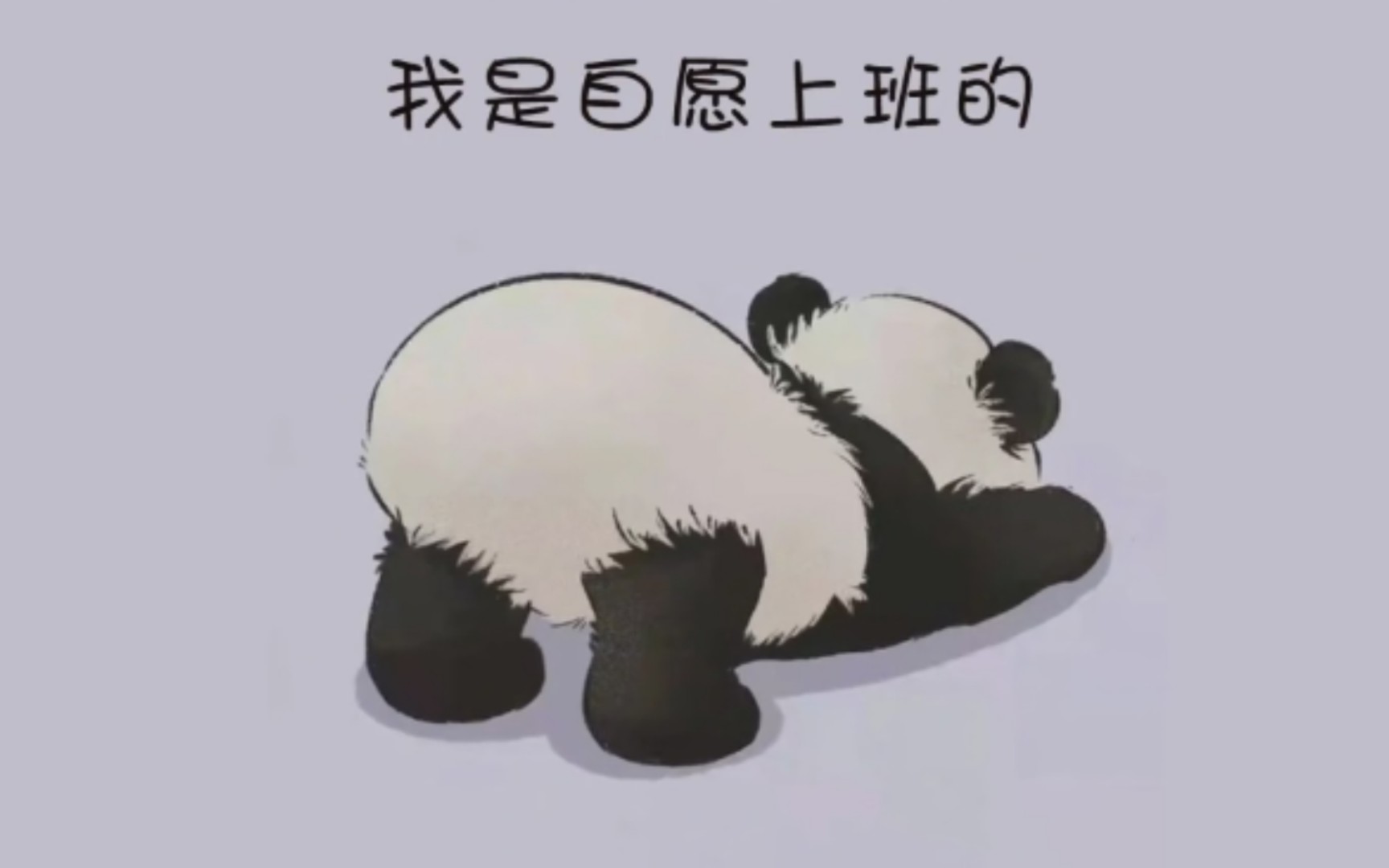 自愿上班第三天!