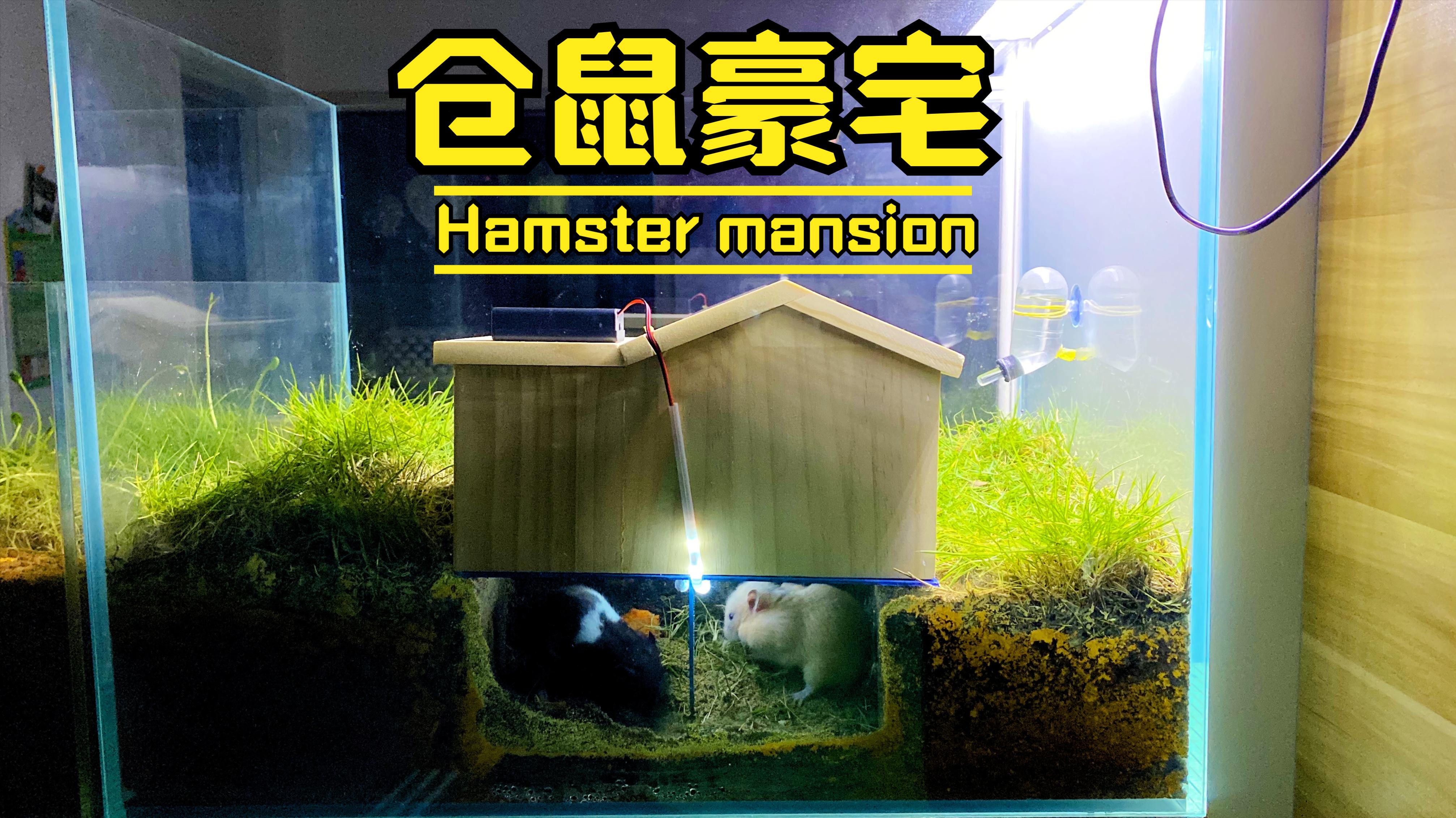 仓鼠的豪宅,一个拥有生态链的房子,仓鼠可以捕捉里面的小动物