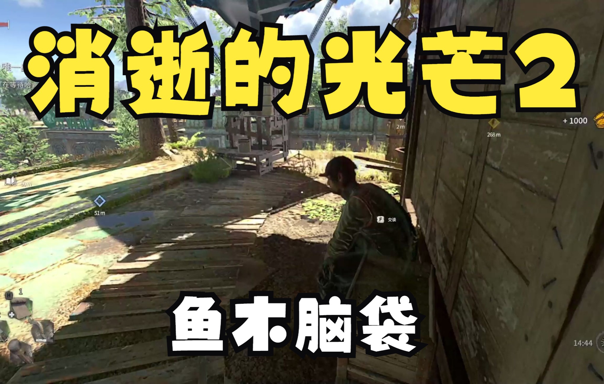 【西岳】消逝的光芒2——鱼木脑袋