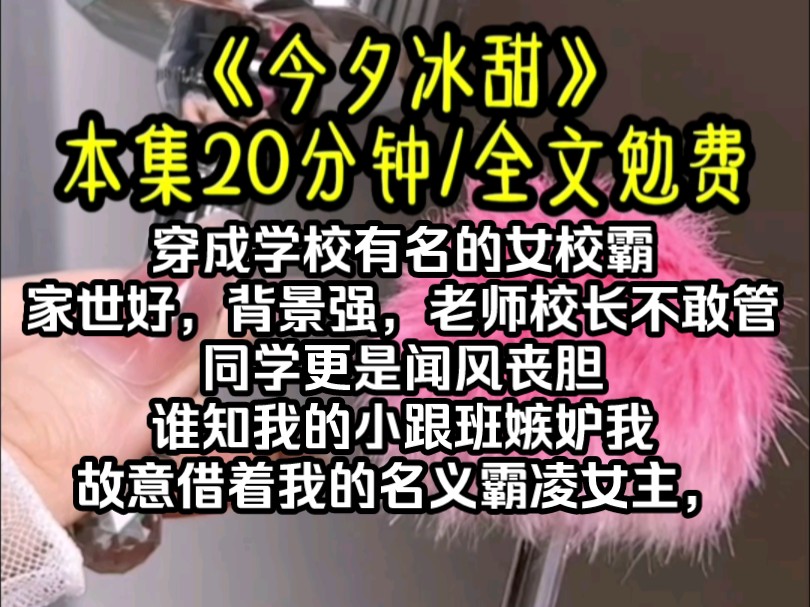 穿成学校有名的女校霸,家世好,背景强,老师校长不敢管,同学更是闻风丧胆.谁知我的小跟班嫉妒我,故意借着我的名义霸凌女主,哔哩哔哩bilibili