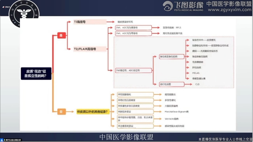 学习,侵删,病例一克雅氏病,病例二AT/RT,小结篇哔哩哔哩bilibili