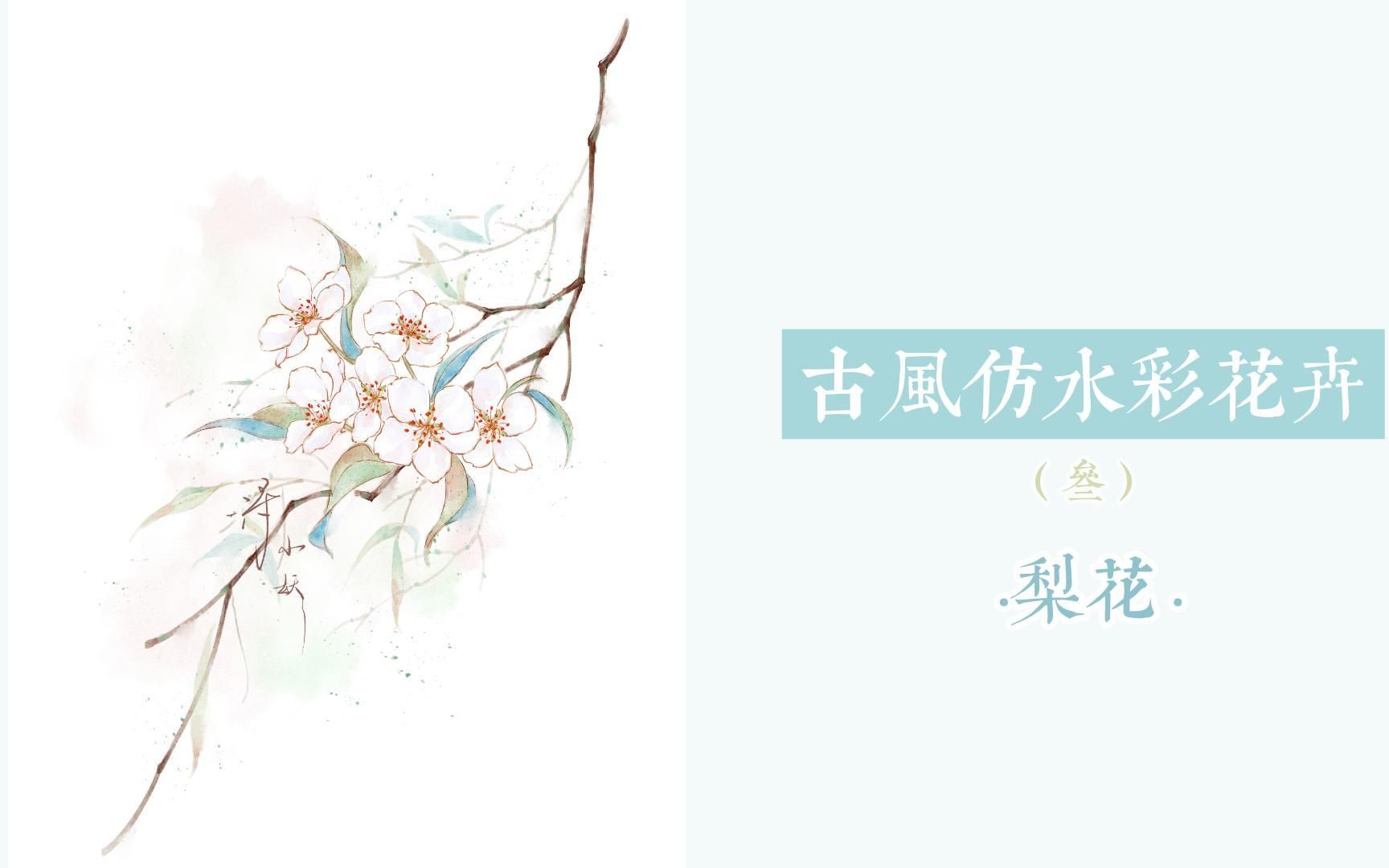 【板绘过程】古风花卉(叁)| ·梨花