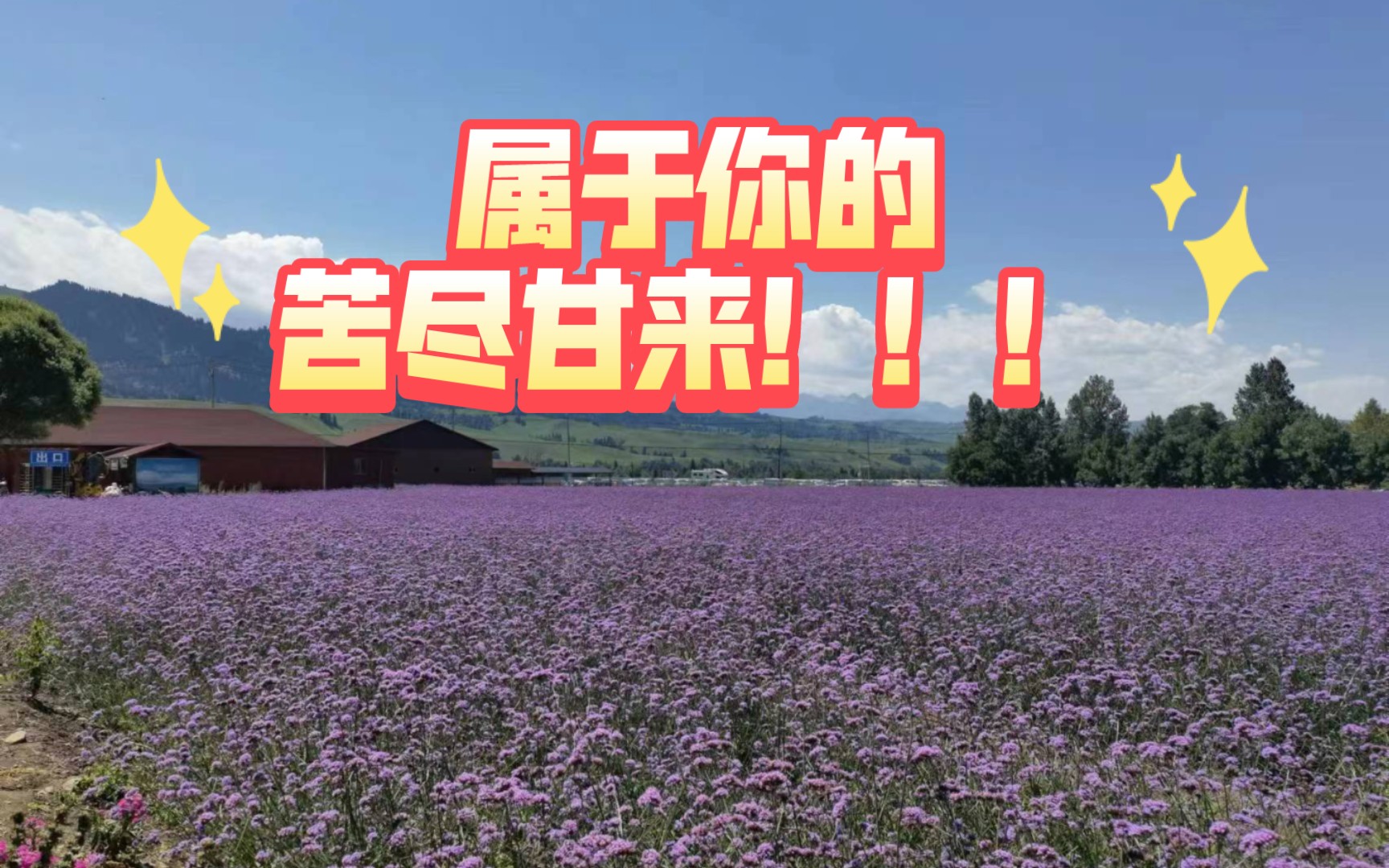 【大众占卜·郭星池sunshine】属于你的苦尽甘来!(不限时空)