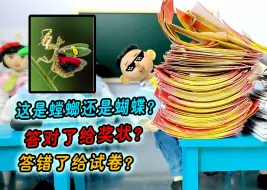 Download Video: 得1个奖状奖100元，怪小逗得1千张奖状妈妈被吓跑！