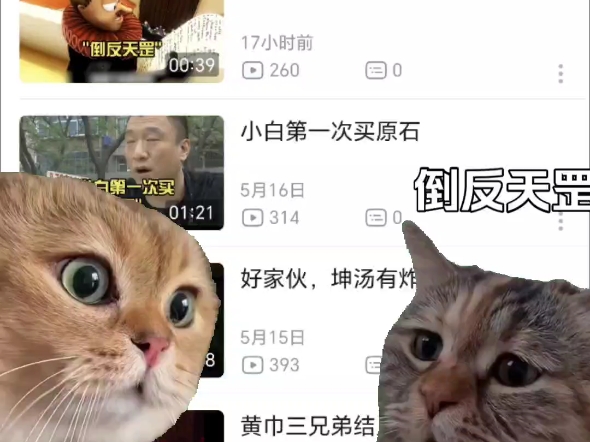 黄猫是我哔哩哔哩bilibili