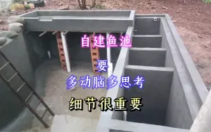 Descargar video: 帮重庆粉丝做20吨鱼池，6仓过滤改5仓，细节很关键