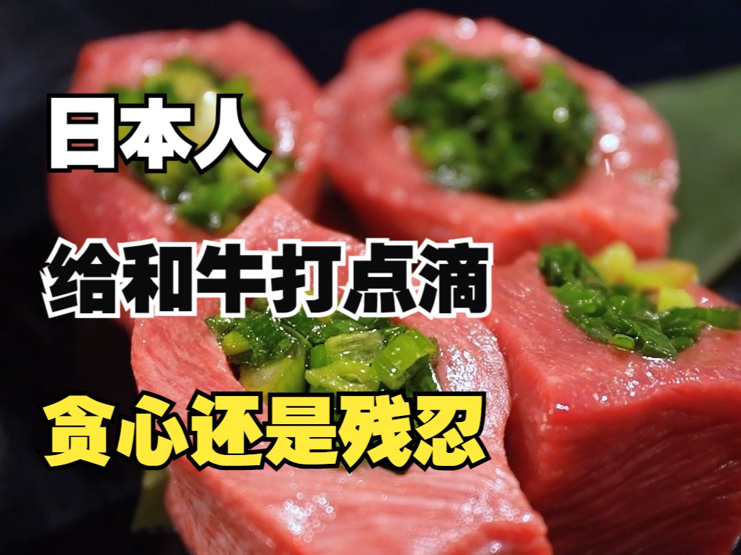 日本人现在还流行给和牛打点滴了 究竟是残忍还是贪心！-东京阿鸡-东京阿鸡-哔哩哔哩视频