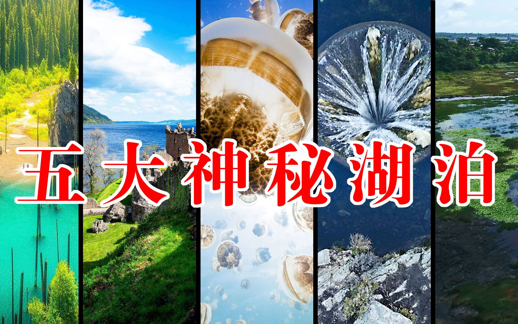 【5分钟】墨西哥下水道成景区,尼斯湖水怪已下线,云游客已上线哔哩哔哩bilibili