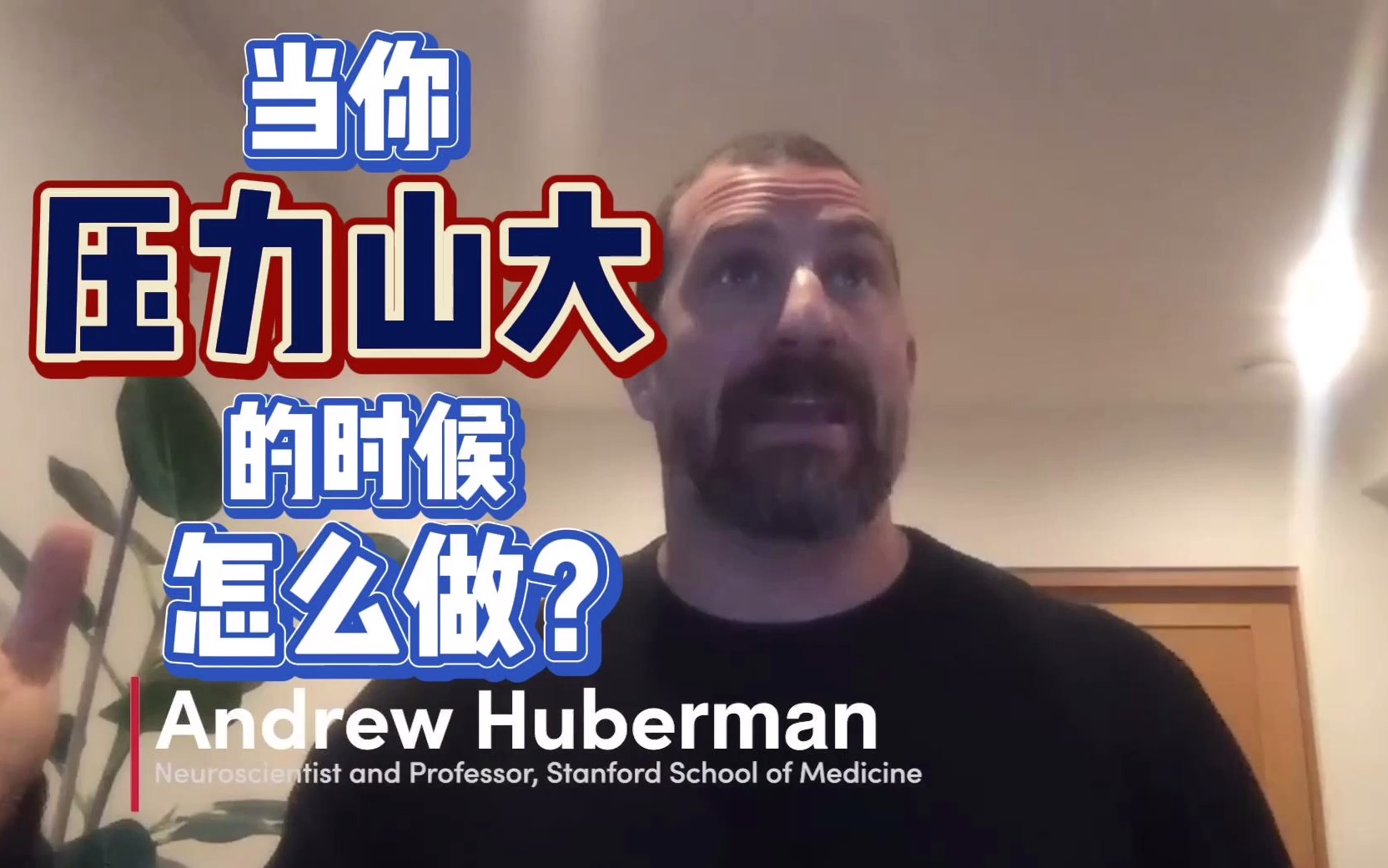 [图]【中字】神经科学教授Andrew Huberman讲压力过大的时候该怎么做