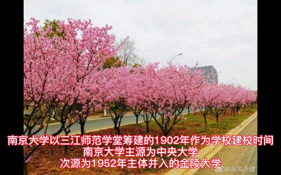 南京著名大学:南京大学哔哩哔哩bilibili