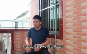 Скачать видео: 养蜂人只要拥有一只好蜂王就能让蜜蜂维持强群，真的是这样吗？