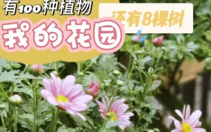 下载视频: 我的花园里面有1000棵植物，春天的花园太美了。